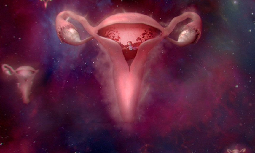 #wombstories